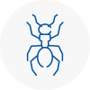 Ant Removals In Keynsham