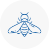 Bee Nest Removal Keynsham