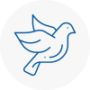 Bird Prevention Keynsham