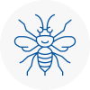 Keynsham Hornet Nest Removals