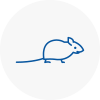 Mice Exterminators In Keynsham