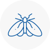 Moth Control Specialists In Keynsham