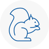 Keynsham Rodent Removals
